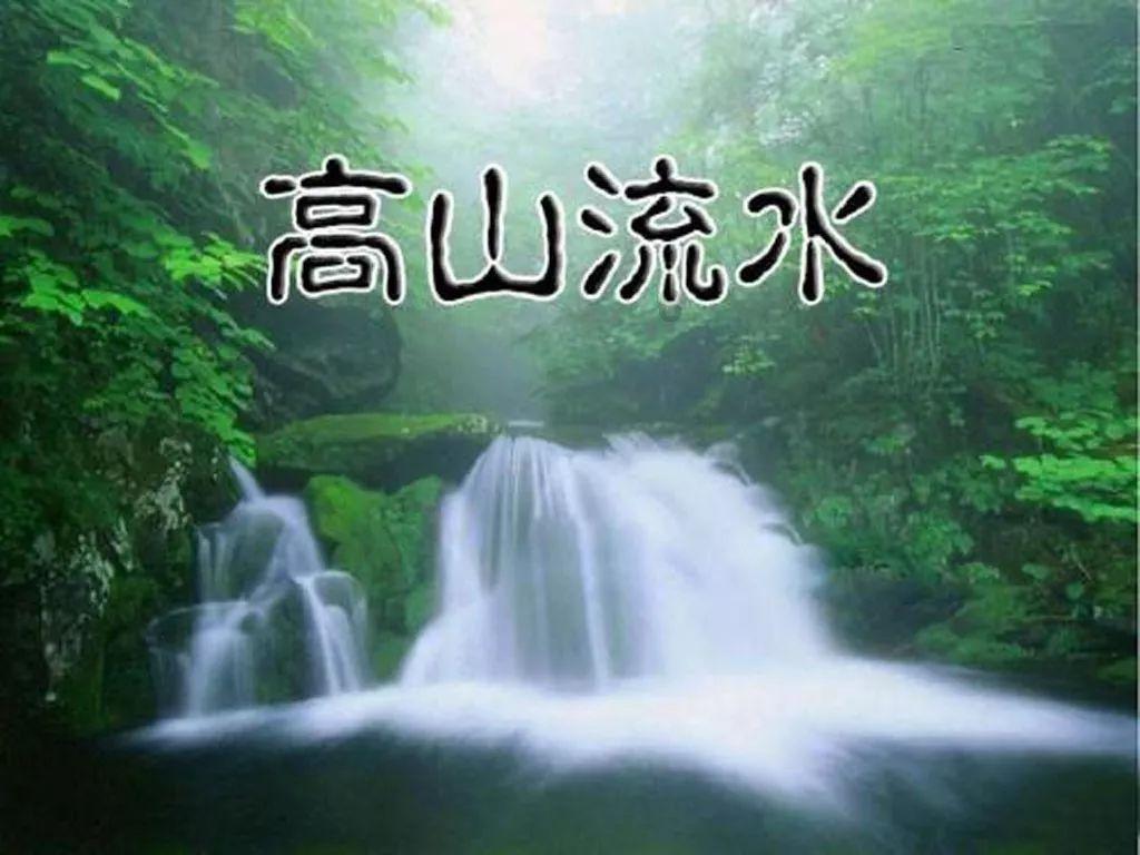 逃离野猫森林